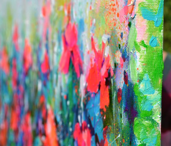 Red Wild Poppies Field at Dusk