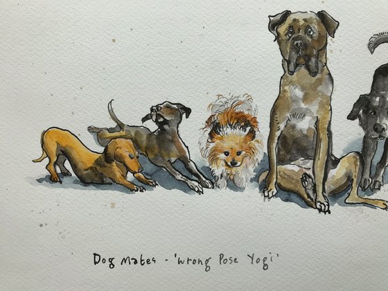 Dog mates - Wrong pose Yogi