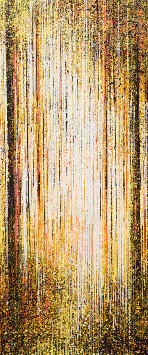 Golden Light Through Trees by Marc Todd