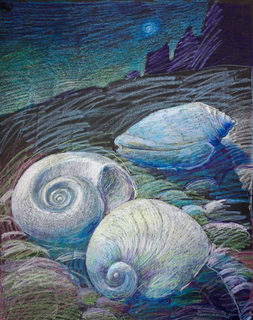 Midnight Sea Life 2 by Elizabeth Anne Fox
