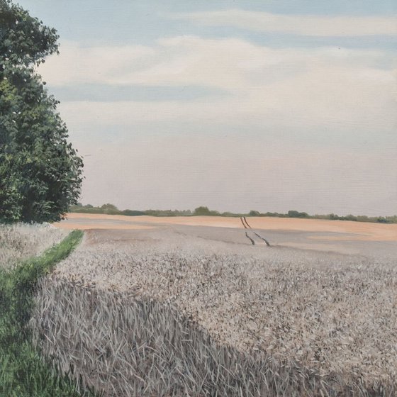 Wheat Field, Evening