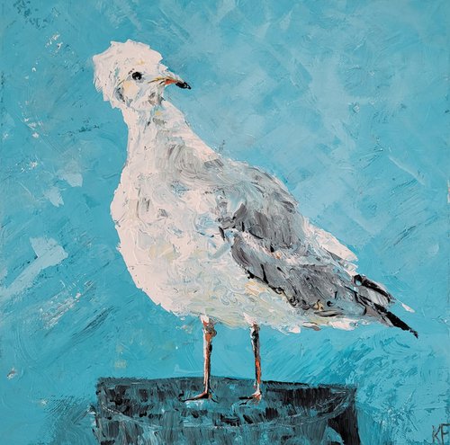 Curious seagull by Kathrin Flöge