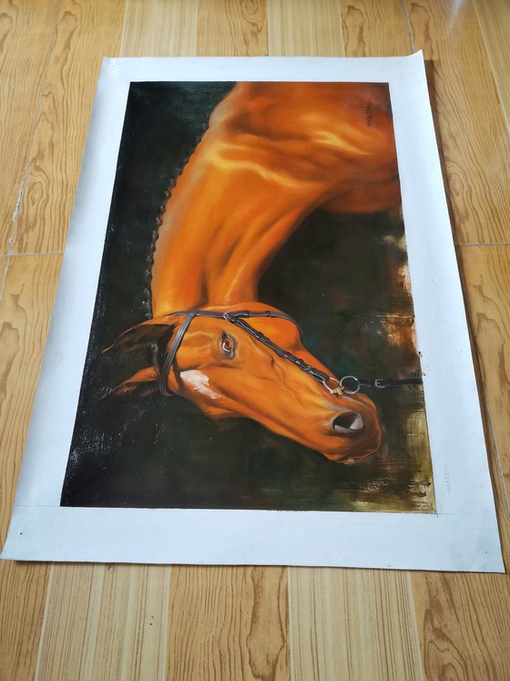 Oil painting animal horse artwork-look you