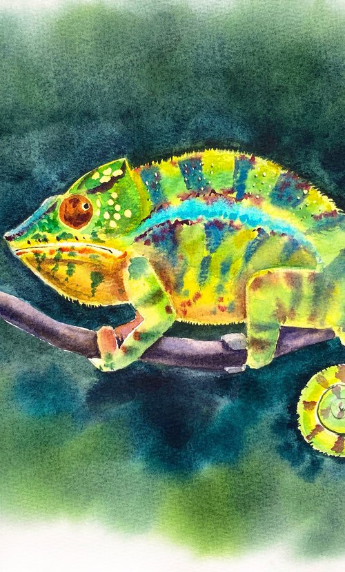 Colorful Chameleon by Irina Povaliaeva