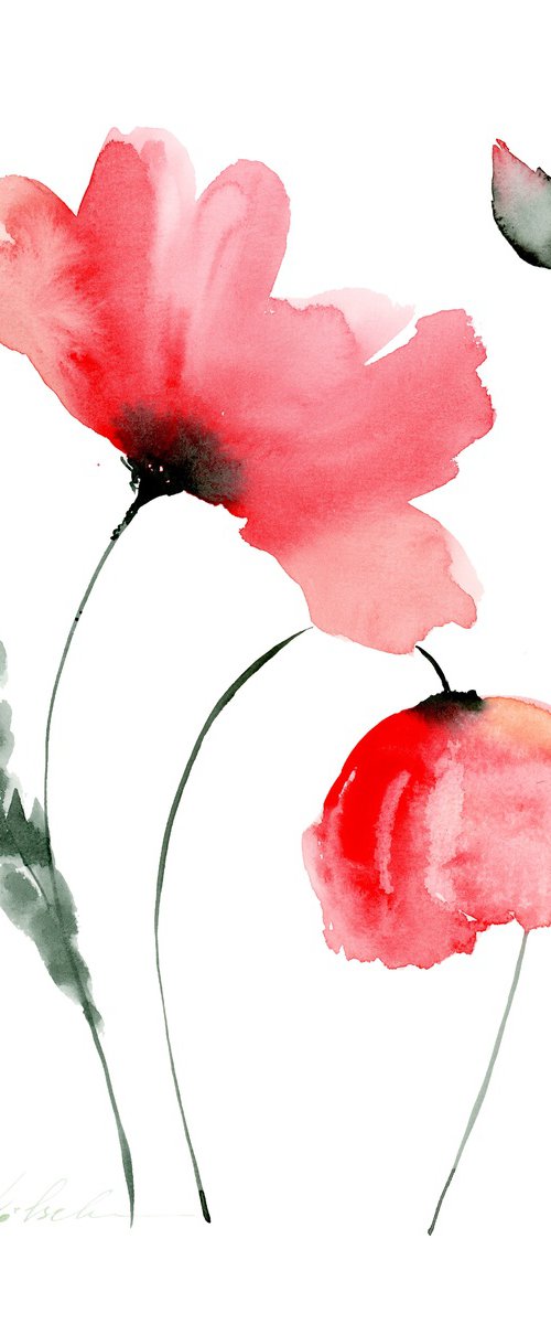 Lovely Poppies watercolor by Olga Koelsch