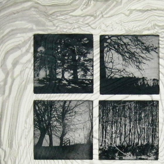 The Beautiful Trees No.1