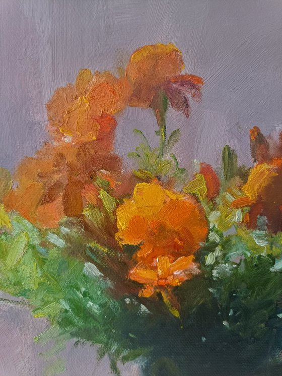 Marigolds in the sun