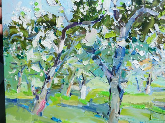 " Apple orchards"