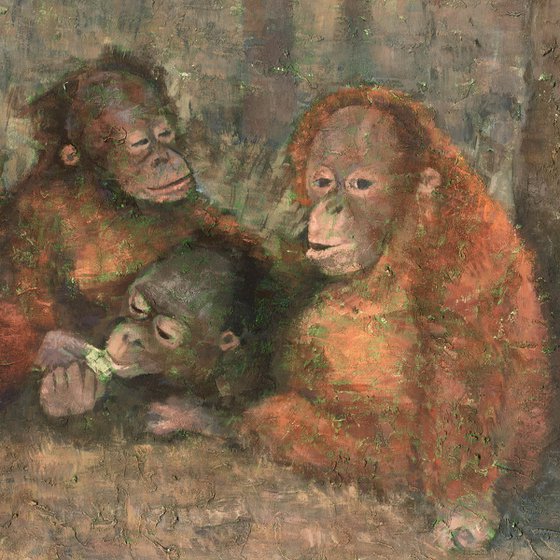 Sumatran Orangutans