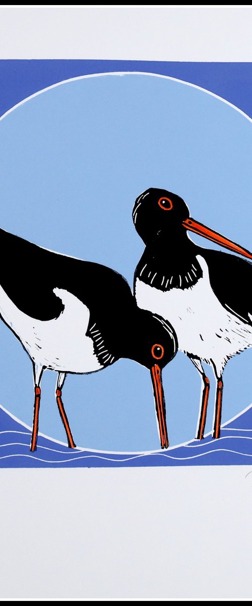 Oystercatchers by Mariann Johansen-Ellis