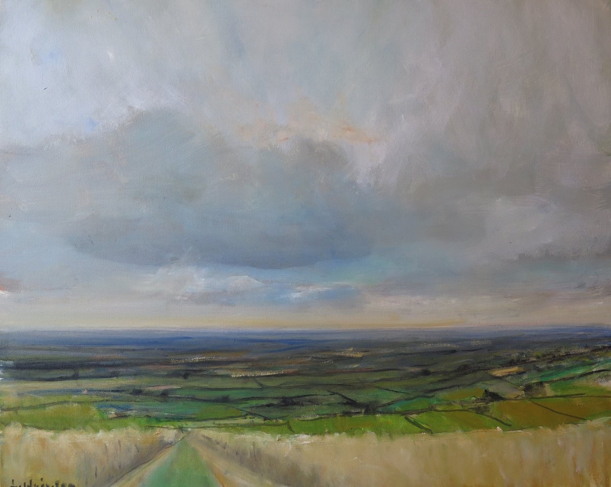 Yorkshire Wolds, July 22 By Malcolm Ludvigsen, 30 X 24, Artwork For Sale On Artfinder