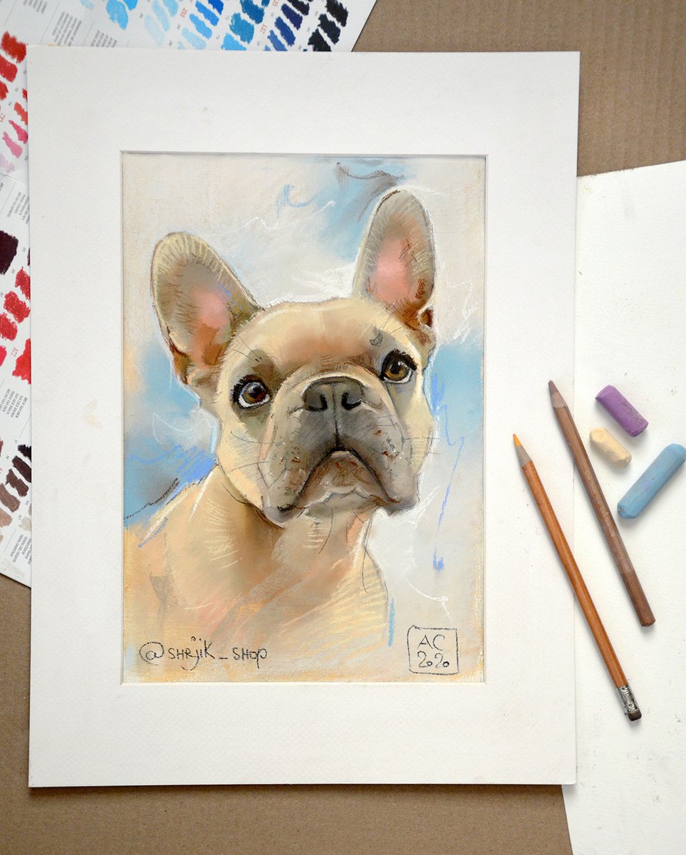 portrait of a French bulldog named Rocco by Alexandra Sergeeva