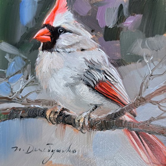 Cardinal albinos