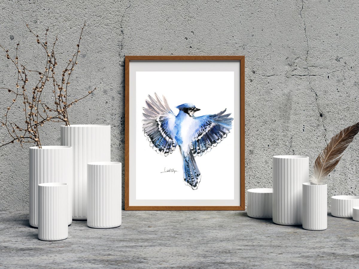 Flying Blue Jay, Painting by Paintispassion