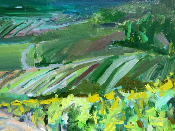 "  Vineyards "
