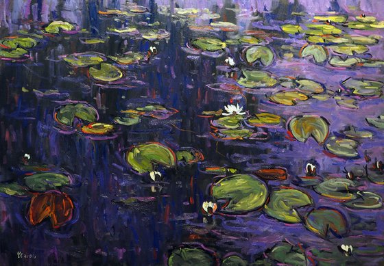 Water Lilies