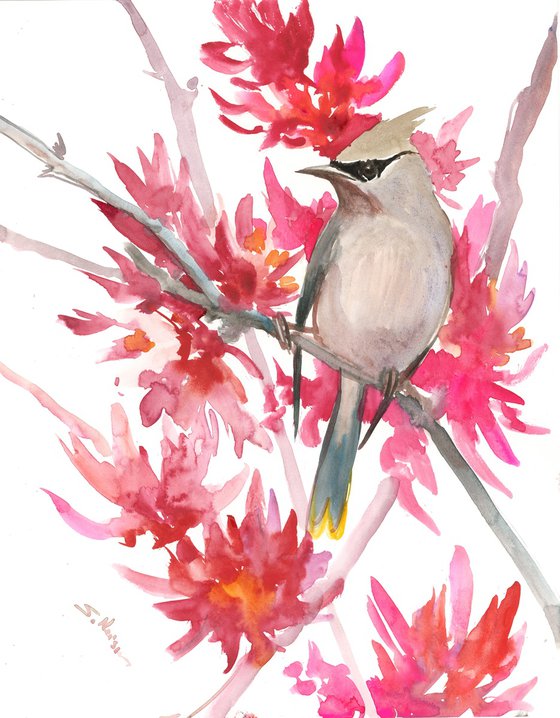 Waxwing and pink flowers original watercolor art