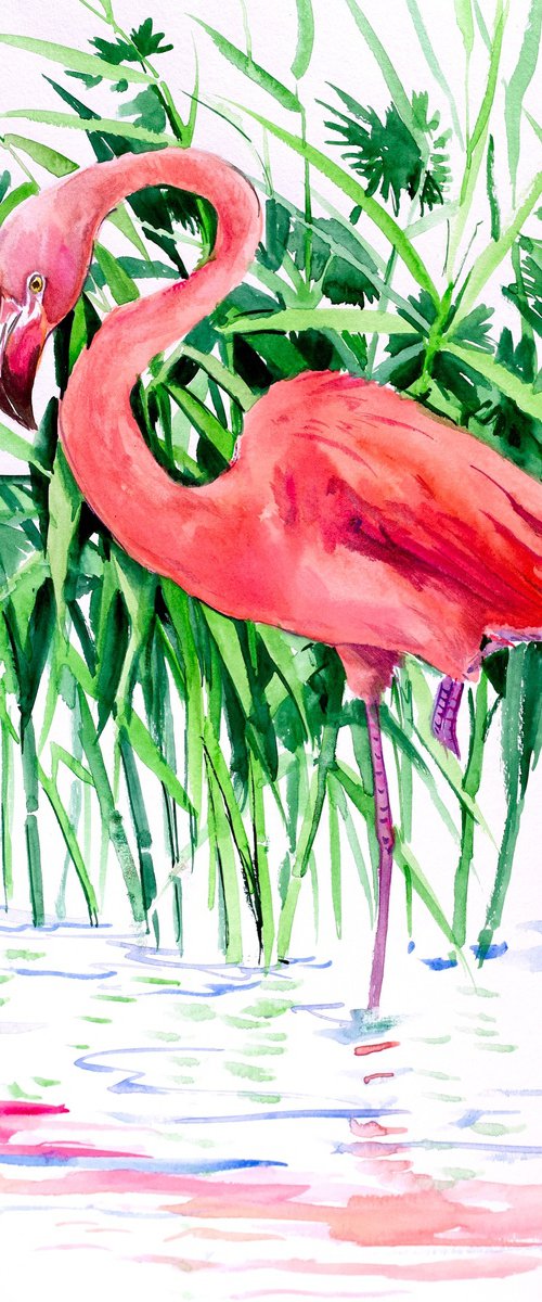 Flamingo by Suren Nersisyan