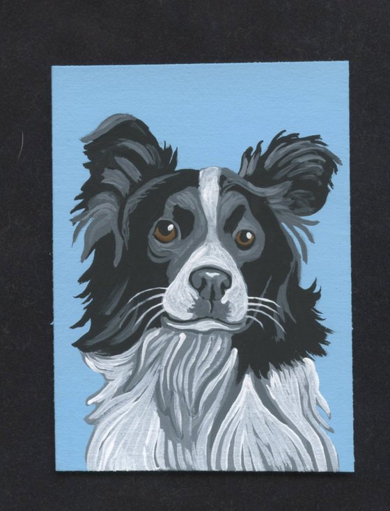 ACEO ATC Original Miniature Painting Border Collie Pet Dog Art-Carla Smale