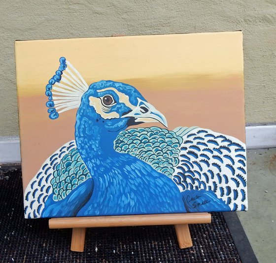 Peacock Original Bird Art Painting-11 x 14 Inches Stretched Canvas-Carla Smale