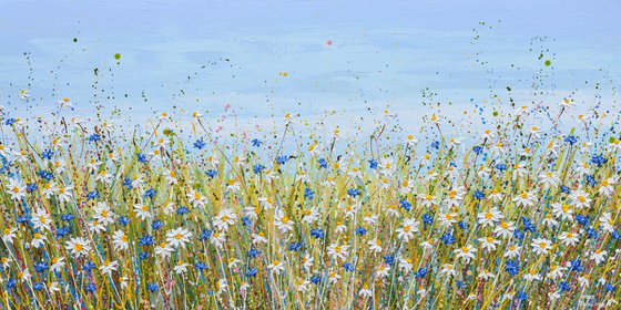 Daisies and Cornflowers II