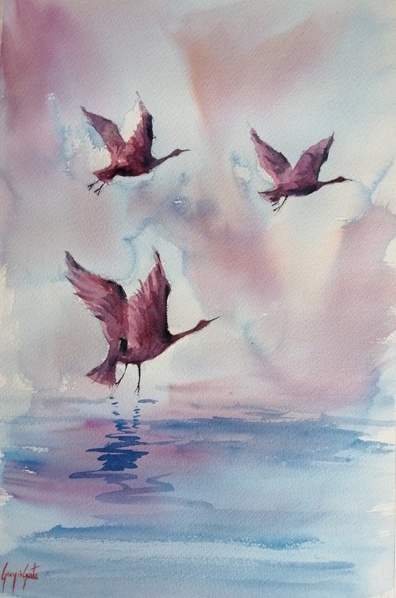 flying birds