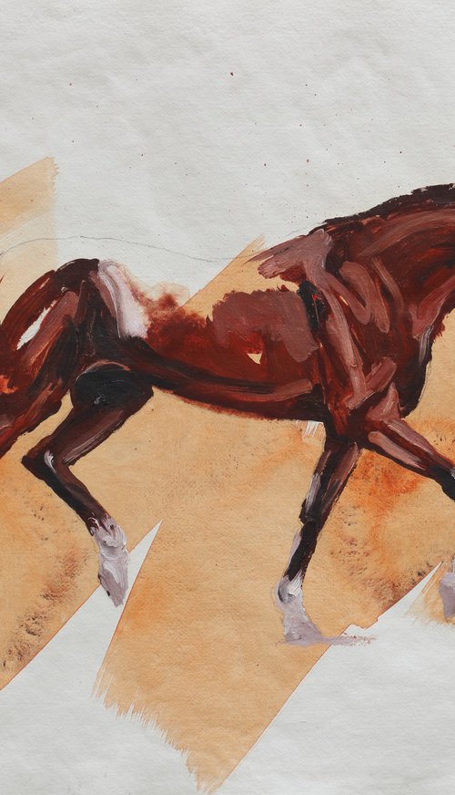 Arabian II by Zil Hoque