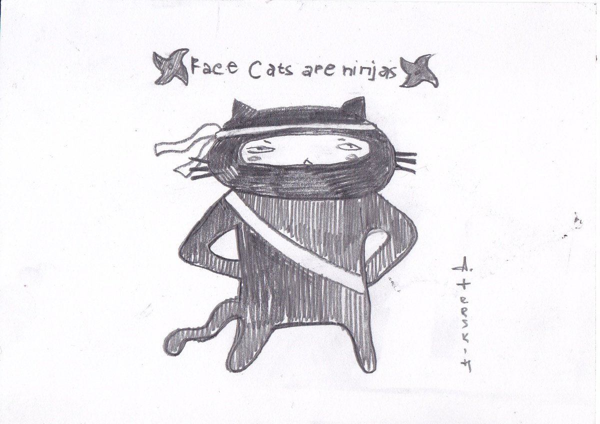 Animal Pencil Drawing By Anastasia Terskih, 6 X 4, Ninja Cat, Original Artwork