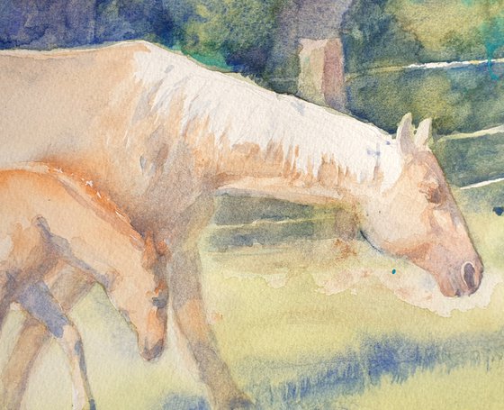 IN THE PASTURE 2020.056  original watercolour 40X30CM