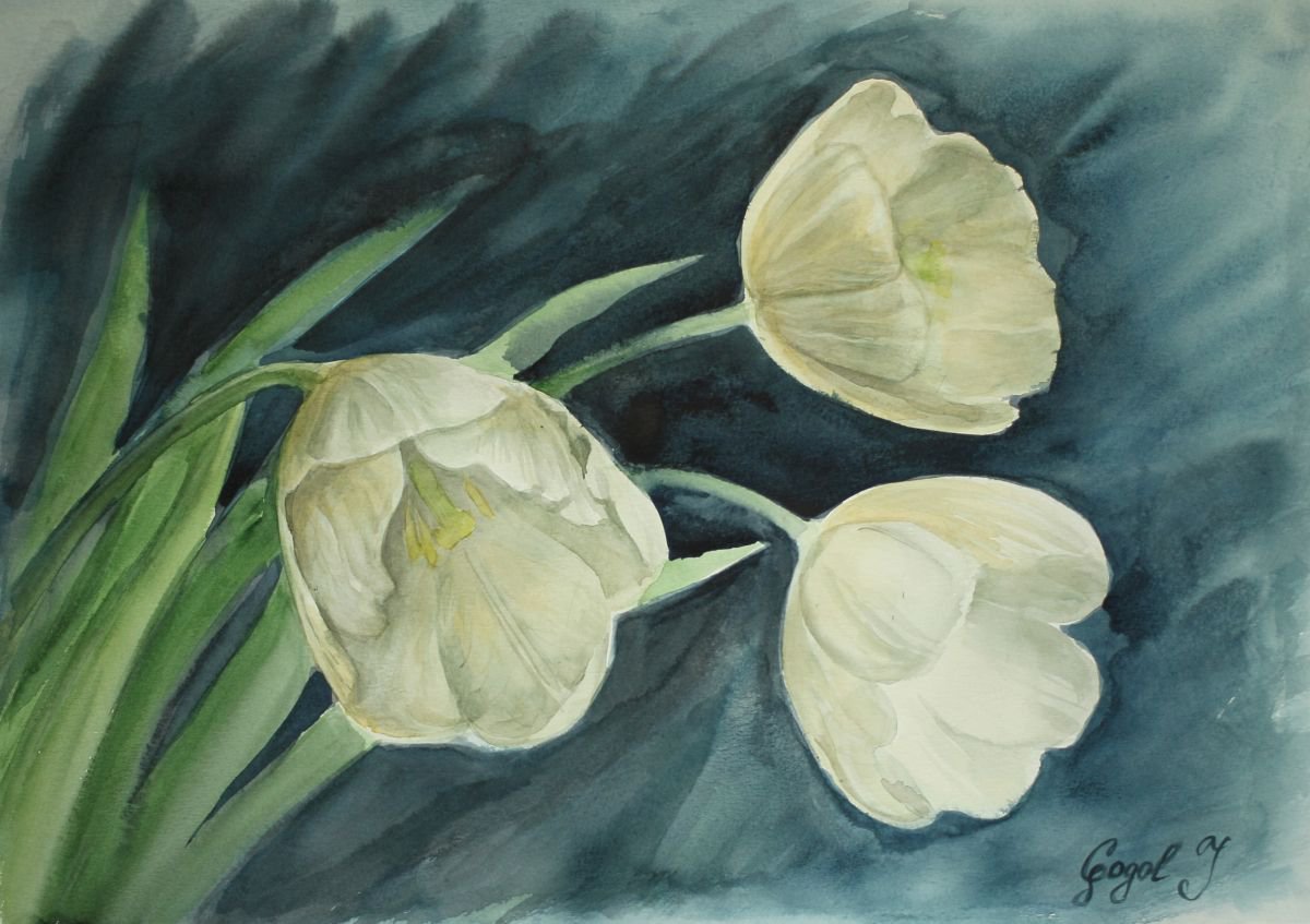 White tulips by Julia Gogol