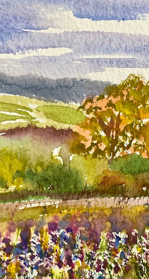 The beauty of North Dorset by Samantha Adams