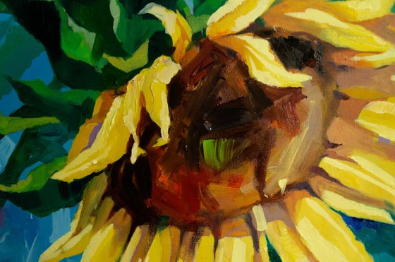 Sunflowers