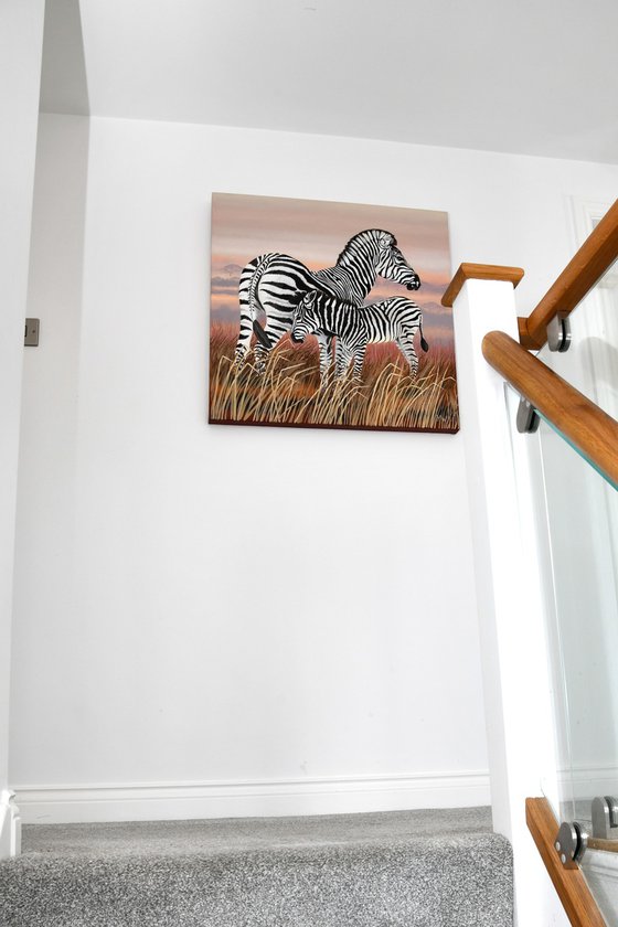 Zebra and Colt