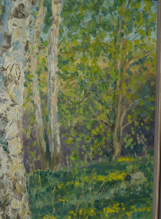 The May evening in the birch forest - landscape painting