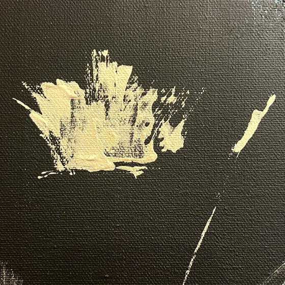 Golden Black butterfly.
