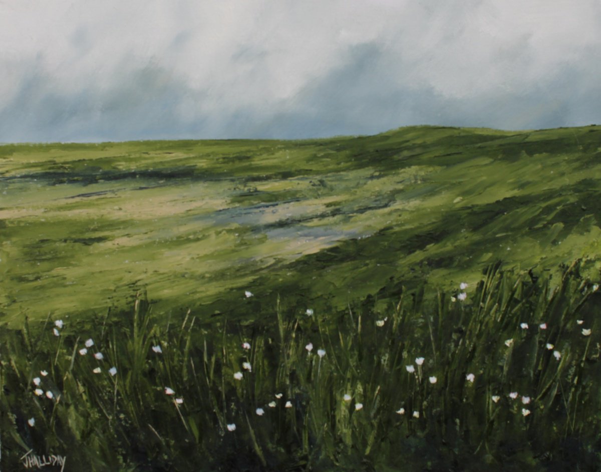 Impressionistic Landscape Oil Painting By John Halliday, 20 X 16, Where Wild Cotton Grows, Original Artwork