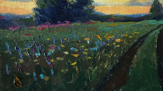 Sunset Over Wildflowers Field