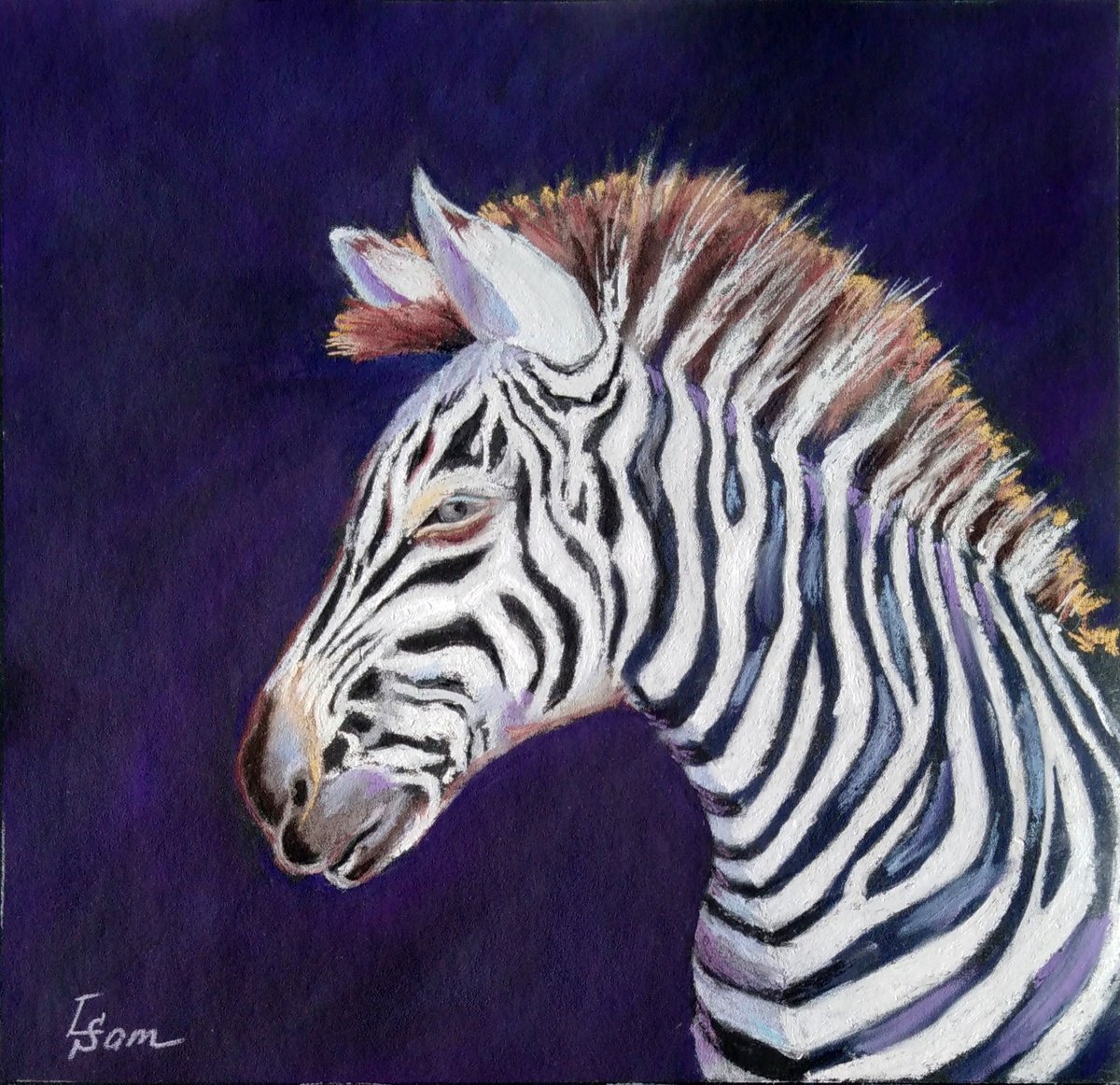 Zebra by Liubov Samoilova