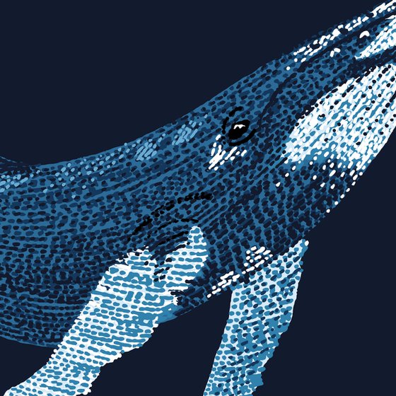 Humpback Whale - Stippling Illustration