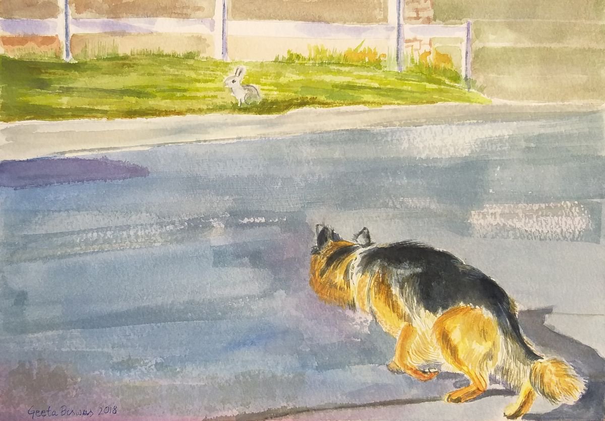 The Rabbit Chaser, pet by Geeta Yerra