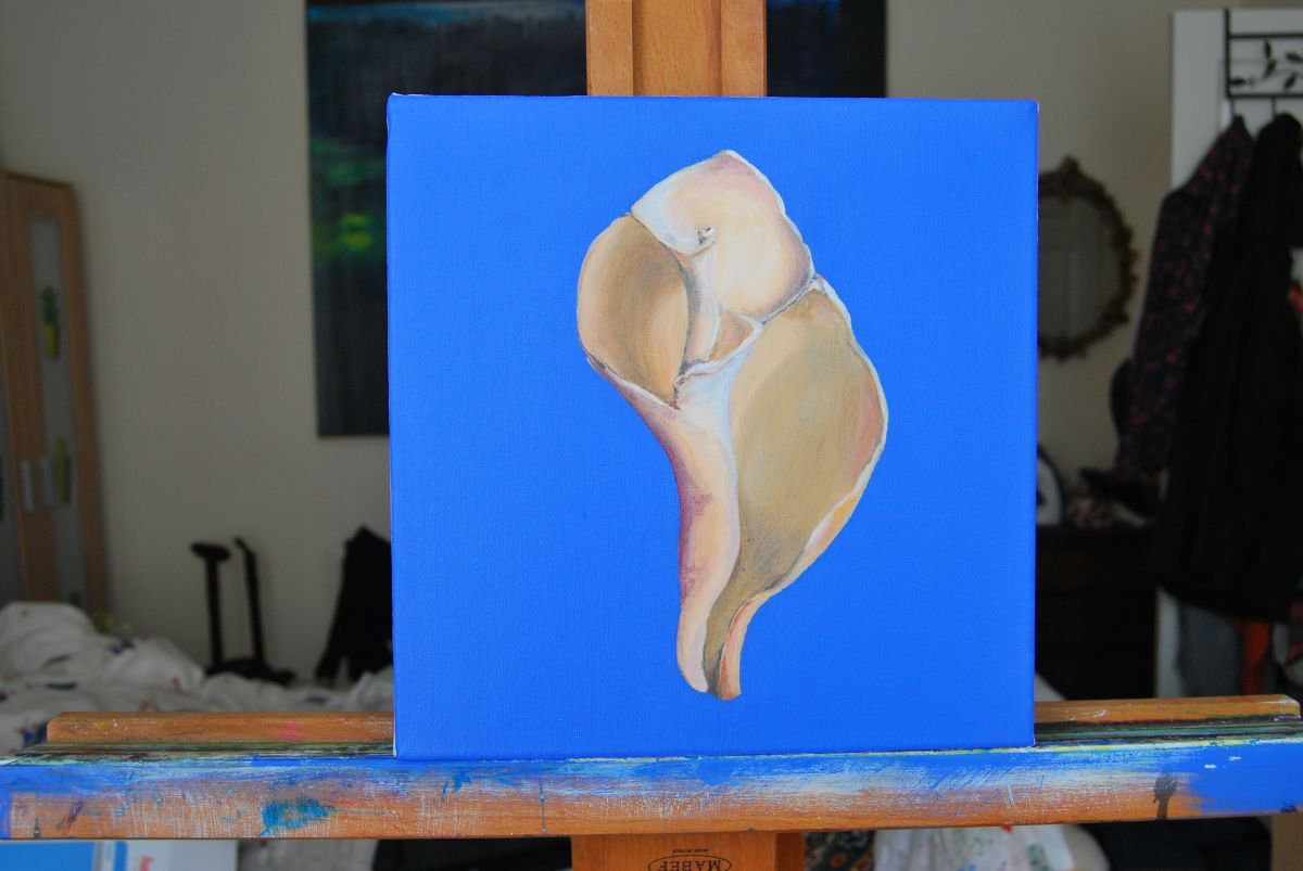 Whelk Shell #2 - Square Minimal Contemporary Painting Inspired by Georgia O'Keeffe