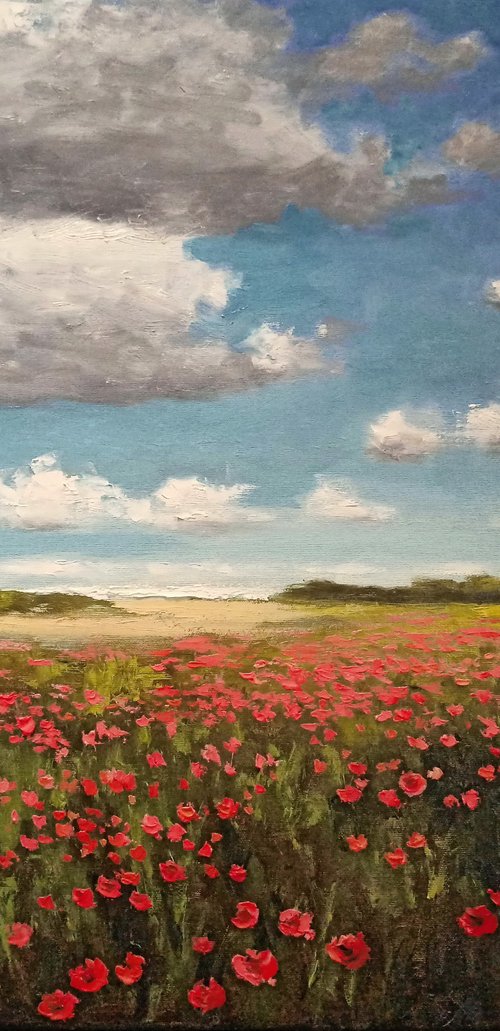 Poppies near the sea by Oleh Rak