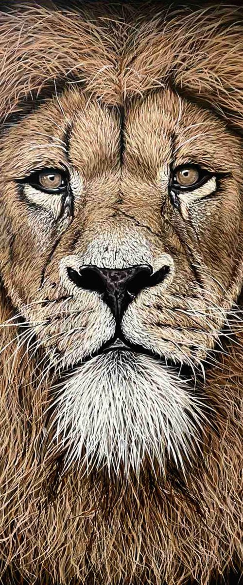 Lion by Elena Adele Dmitrenko