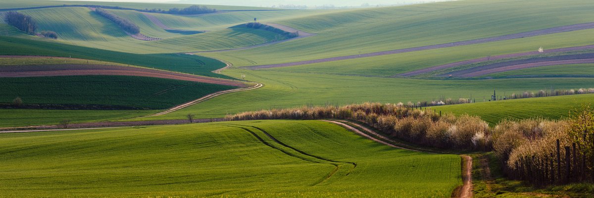 Photorealistic Landscape Photograph By Pavel Oskin, 106 X 35", M-Road, Original Artwork