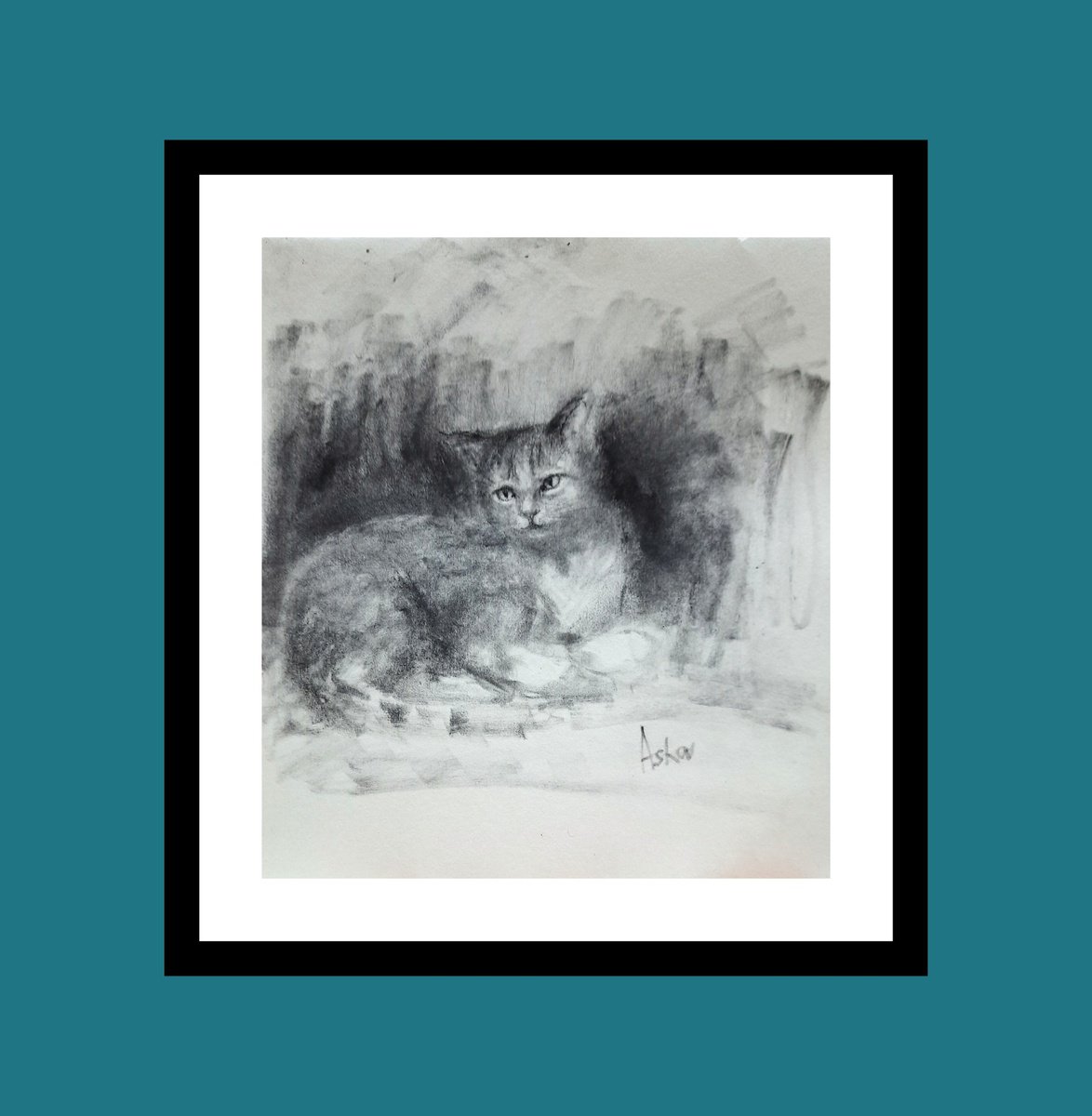 Impressionistic Animal Charcoal Drawing By Asha Shenoy, 10 X 11, Relaxing Cat Aishwarya, Original Artwork