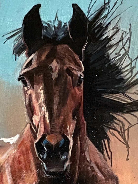 The Power of Gallop