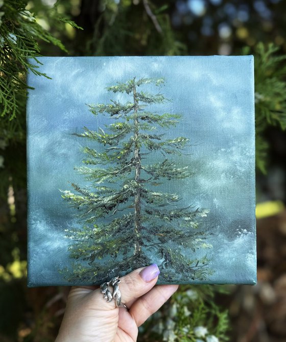 Evergreen Sentinel