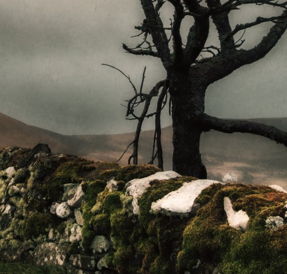 Melancholy in the Highlands