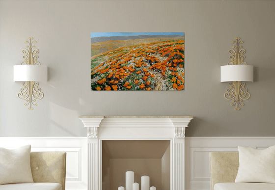 California Poppies