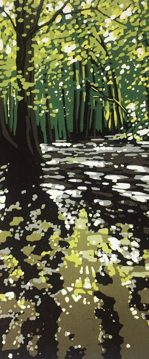 Summer Woodland Puddles by Alexandra Buckle